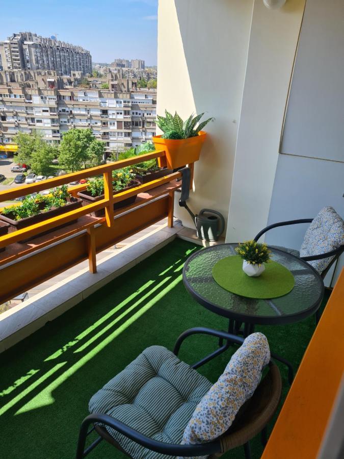 Apartment Bella Art 贝尔格莱德 外观 照片