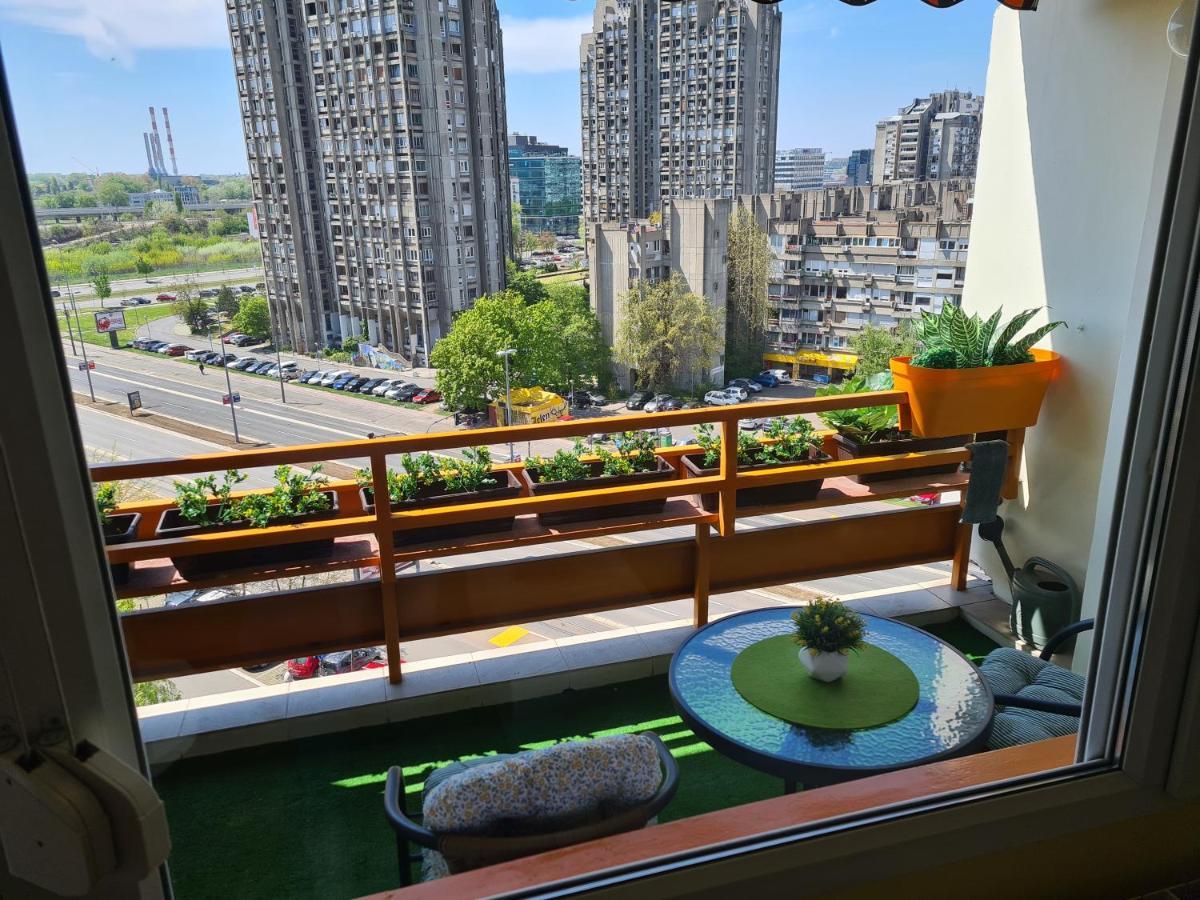 Apartment Bella Art 贝尔格莱德 外观 照片
